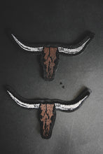 Load image into Gallery viewer, 2 FLY DIY PATCH *longhorn
