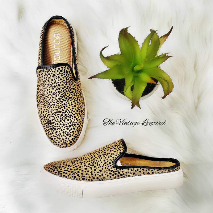 Corky's Abbott Leather Speckled Leopard Mule Sneaker